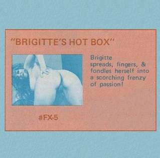 Diverse FX-5 - Bridgettes Hot Box