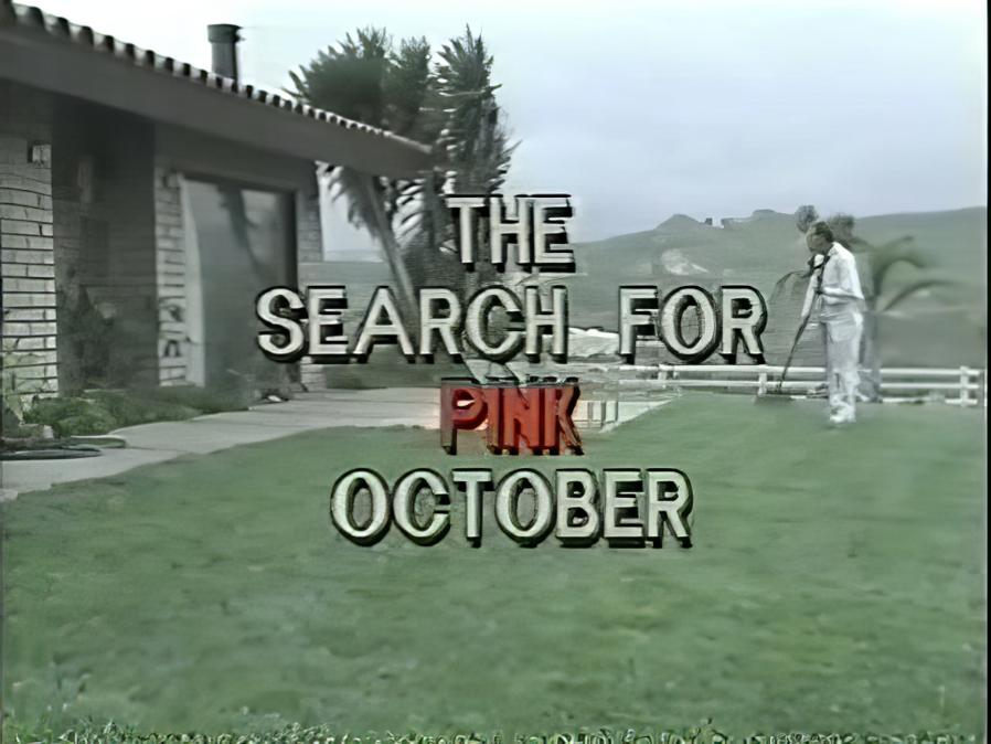 Search For Pink October