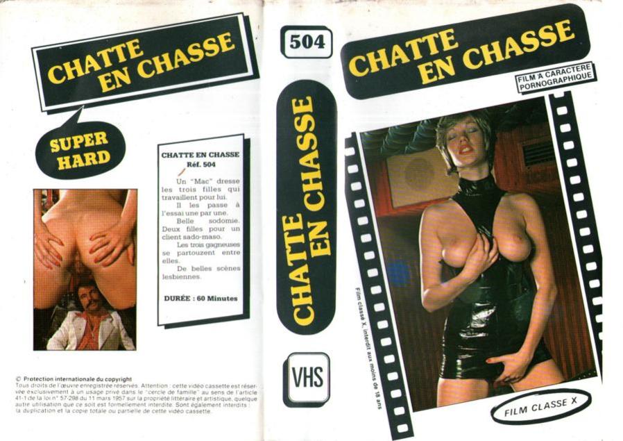 Chatte en chasse