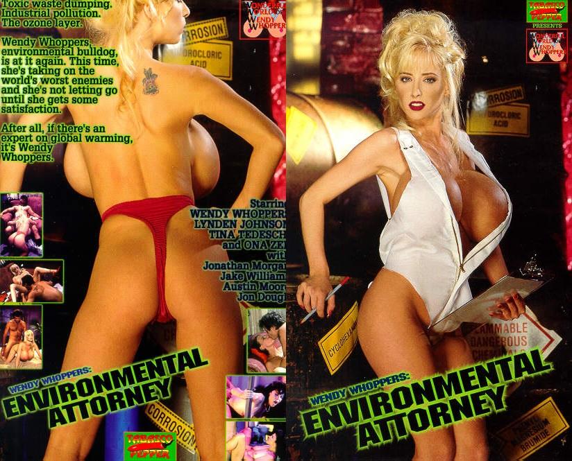 Environmental Attorney