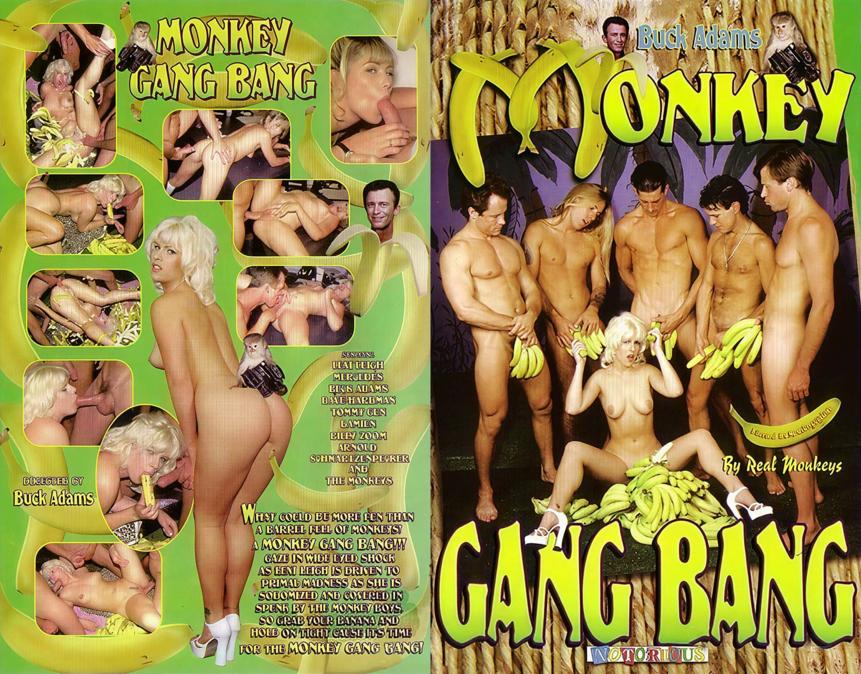 Monkey Gang Bang