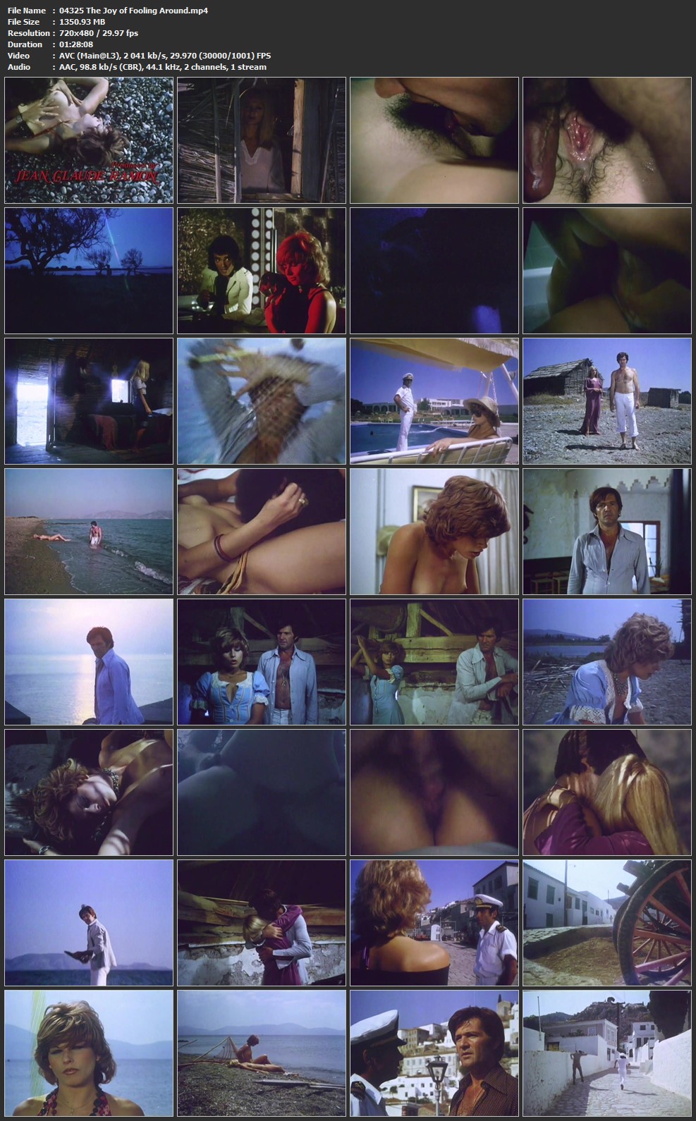 The Joy of Fooling Around (1978) | Vintage Erotica